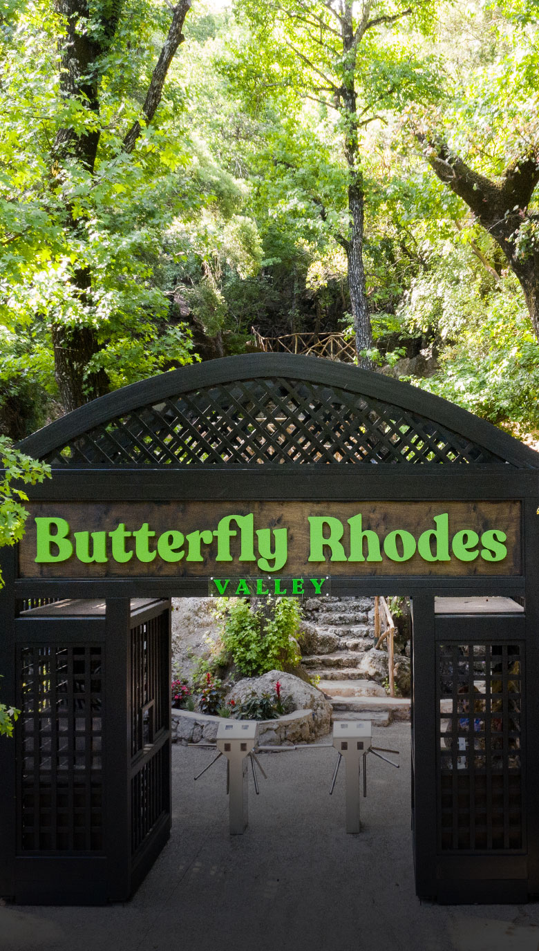 butterflies-rhodes-explore-the-valley